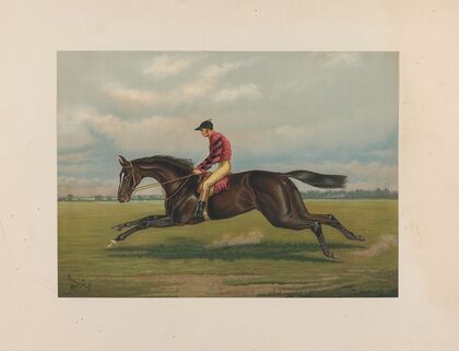 Iroquois