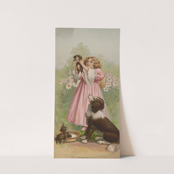 Isn’t he a beauty (1898) by Knapp & Co.
