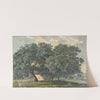 Italian Landscape with Trees by Friedrich Salathé