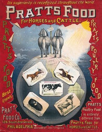 It’s superiority is recognized throughout the world, Pratt’s food, for horses and cattle