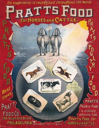 It’s superiority is recognized throughout the world, Pratt’s food, for horses and cattle