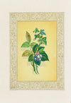 Ivy and Berries (1869)