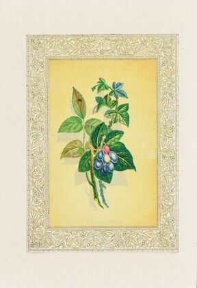 Ivy and Berries (1869)