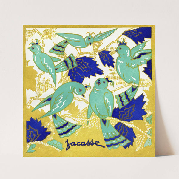 Jacasse