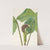 Jack-in-the-pulpit. Arisaema triphyllum (1925) by Mary Vaux Walcott