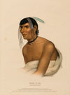 Jack-O-Pa. A Chippewa Chief