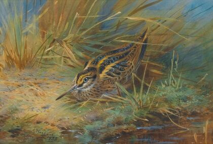 Jack Snipe (1933)