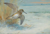 Jack Snipe Rising (1931)