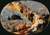 Jacob’s Ladder