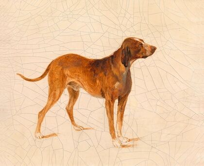 Jagdhund