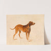 Jagdhund by Adalbert Stifter