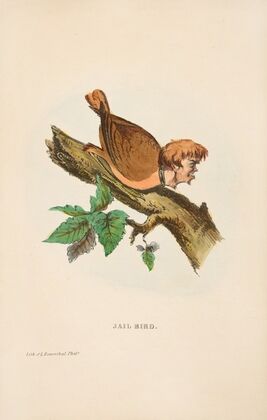 Jail Bird (1851)