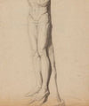 Jambes et bas d’un torse d’homme