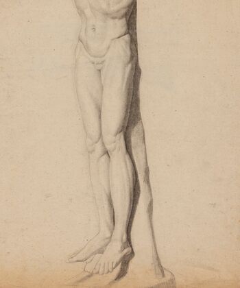 Jambes et bas d’un torse d’homme