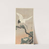 Japanese common crane on branch of pine by Ohara Koson