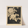 Japanese Peonies (ca. 1933) by Bertha Jaques
