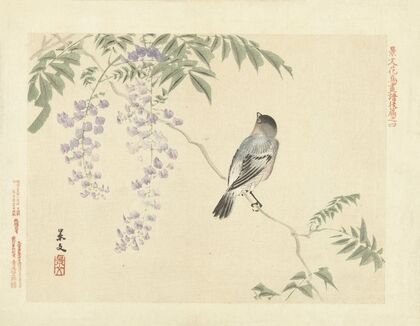 Japanese wisteria and Eurasian bullfinch (1892)