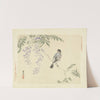 Japanese wisteria and Eurasian bullfinch (1892) by Matsumura Keibun