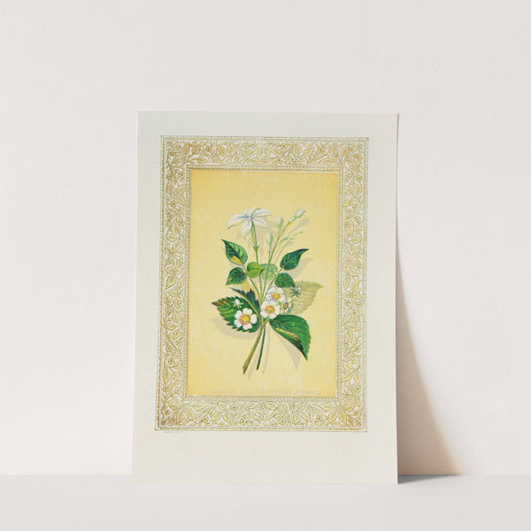 Jasmine and Strawberry Blossom (1869) by John Henry Ingram