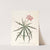 Jatropha Multifidis by Ann Lee