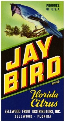 Jay Bird Brand Florida Citrus Label (1930-1950) — size preview