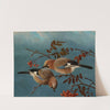 Jays (1877) by Ferdinand von Wright