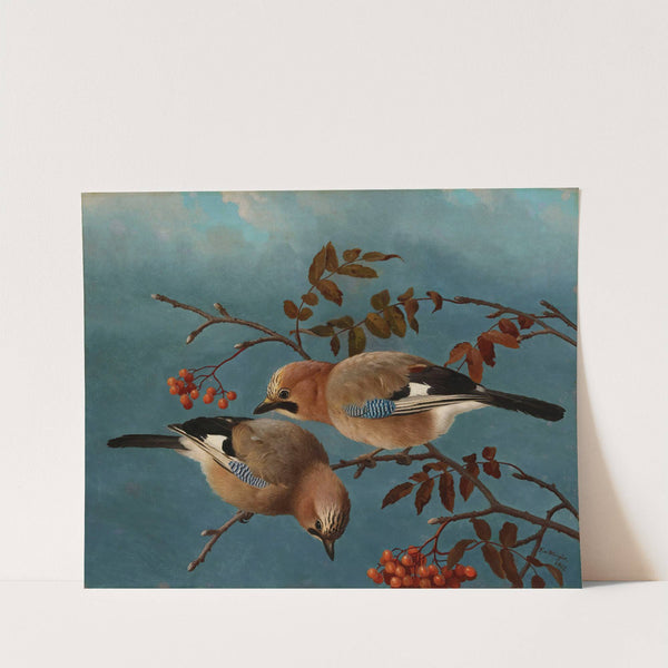 Jays (1877) by Ferdinand von Wright