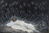 Jesus Ministered to by Angels