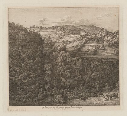 Le Precipice du Toubenloch derriere Boucheamps aux Environs de Bienne (1800)
