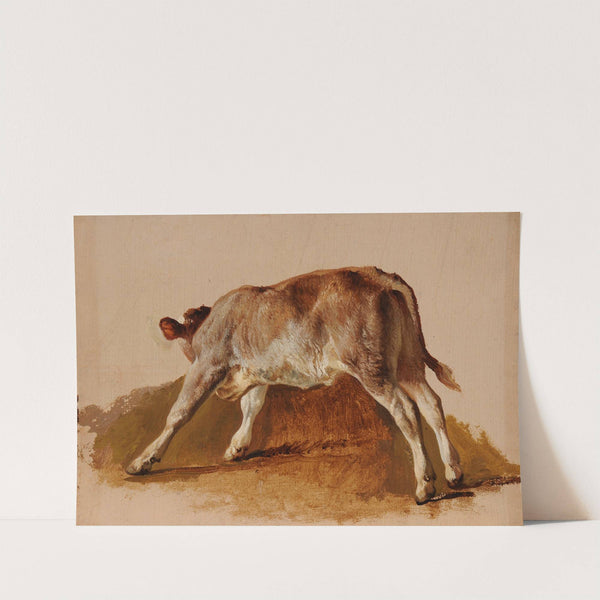 Jeune veau by Jacques-Raymond Brascassat