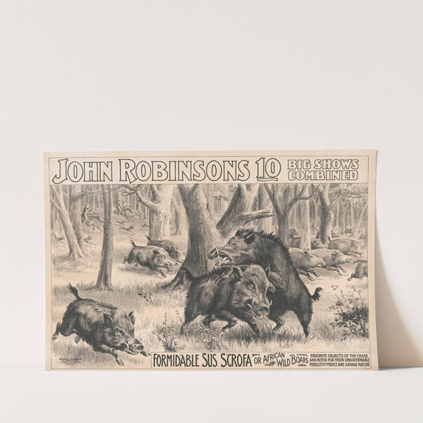 John Robinson&#8217;s 10 big shows combined. Formidable sus scrofa or African wild boars (1899) by Russell, Morgan &amp; Co.