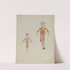 Jointed Wooden Dolls by Arelia Arbo
