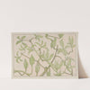 Jonge bladeren en knoppen by Theo van Hoytema