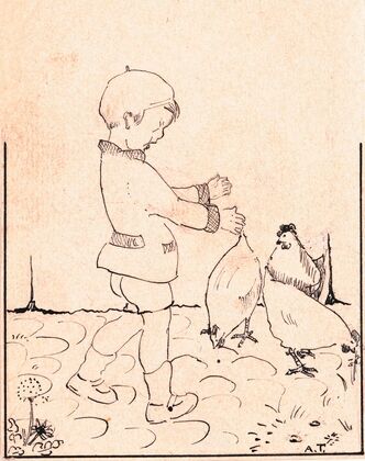Jongen tussen de kippen