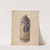 Jug by Winifred Luten