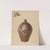 Jug by Yolande Delasser