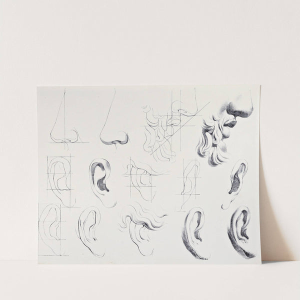 Julien&#039;s Studies of Heads pl 03 by Bernard-Romain Julien