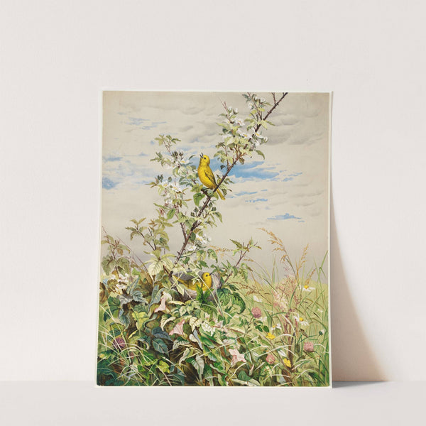 June by Fidelia Bridges