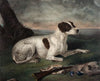 Juno
