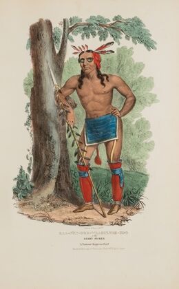 KAA-NUN-DER-WAAGUINSE-ZOO or the Berry Picker; A Famous Chippewa Chief (1835)