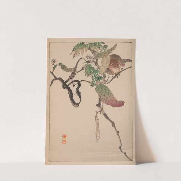 Kachō gafu, Pl.10 by Kōtei Fukui
