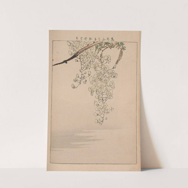 Kachō gafu, Pl.11 by Kōtei Fukui
