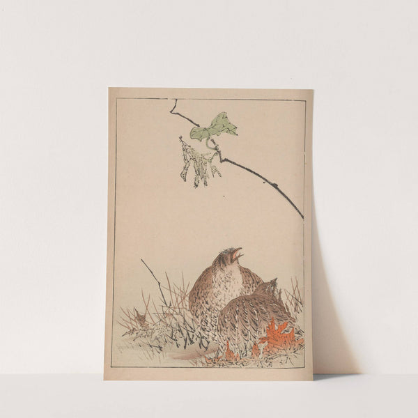 Kachō gafu, Pl.12 by Kōtei Fukui