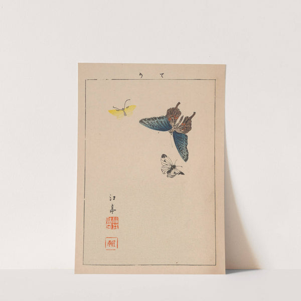 Kachō gafu, Pl.14 by Kōtei Fukui