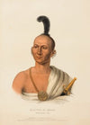Kai-Pol-E-Quah, White Nosed Fox