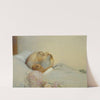 Kaiser Franz Joseph I. auf dem Sterbebett by Franz von Matsch