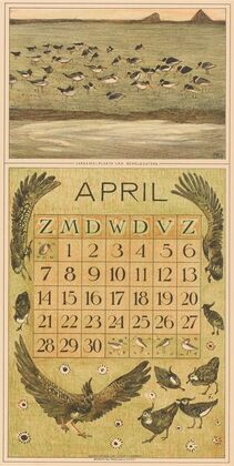 Kalenderblad april met scholeksters en kieviten