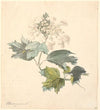 Kalkved. (Viburnum) (1816 - 1875)