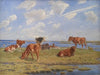 Kalve ved stranden