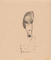 Karikaturaal gezicht (1923)